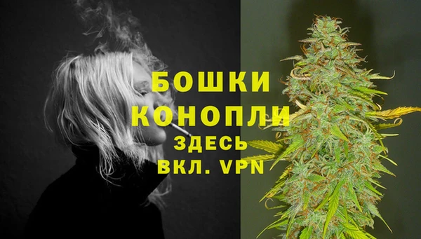 стаф Нея