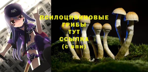 стаф Нея