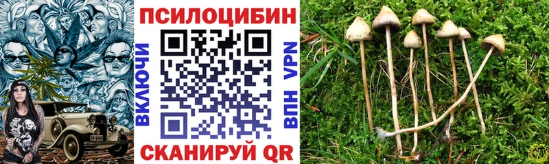 Галлюциногенные грибы MAGIC MUSHROOMS  shop какой сайт  Шебекино 