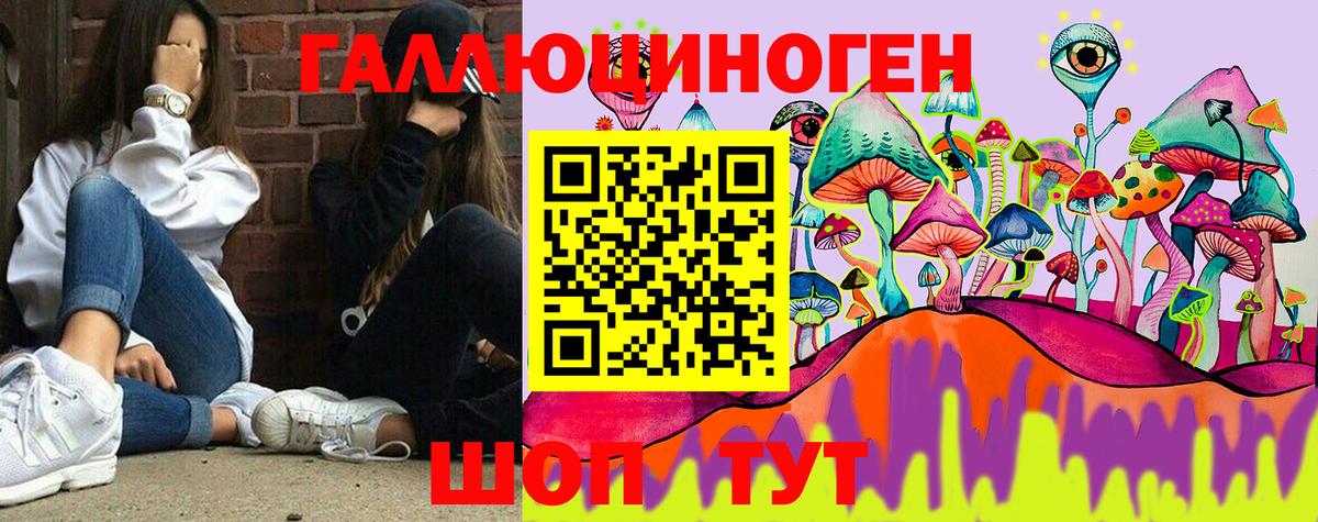 Псилоцибиновые грибы GOLDEN TEACHER Шебекино