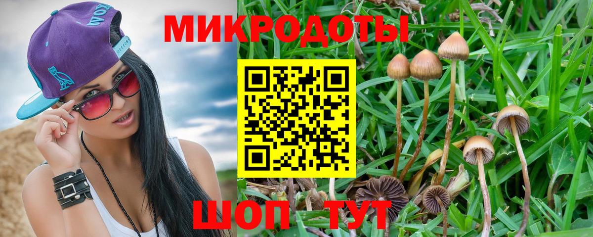 Шебекино  дарнет шоп  Вход с VPN  Псилоцибиновые грибы Psilocybe 